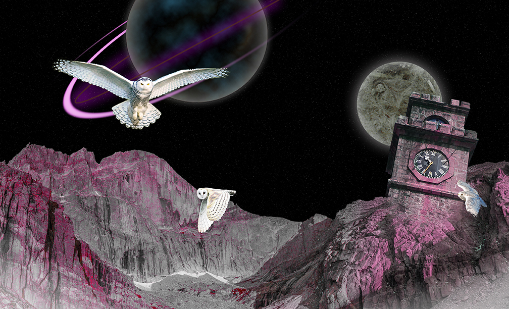 Owls Fantasy